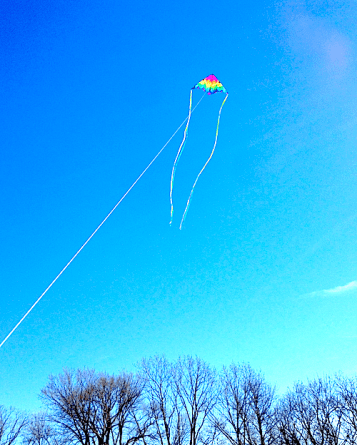 Kite