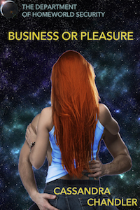 Business or Pleasure, by Cassandra Chandler