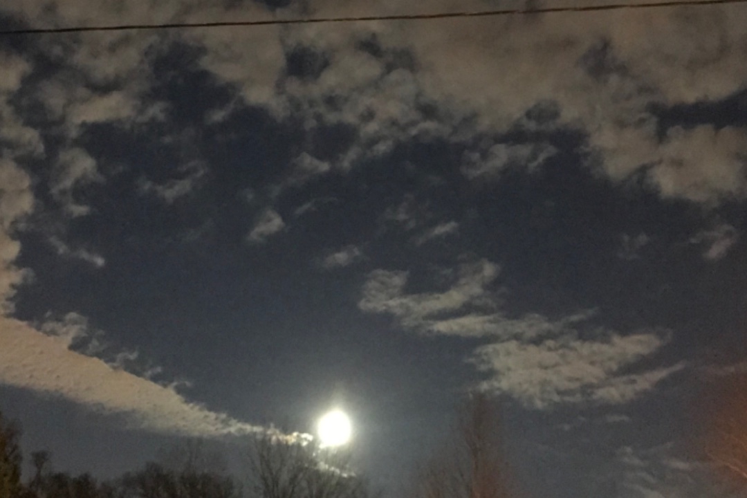 E8C7DFBD-A93C-4CD5-80B2-CA876A97FB3F