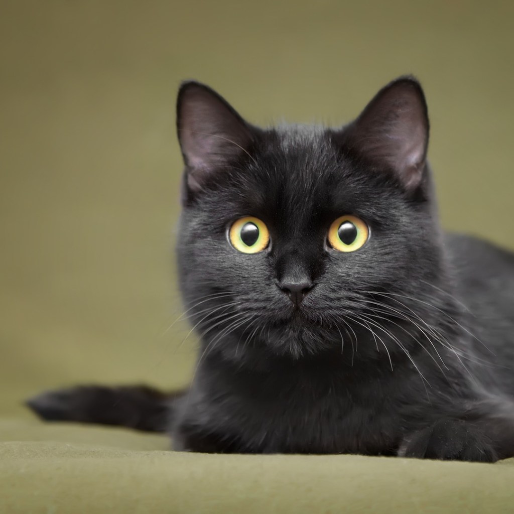 Nothing to Declare — 3 Days&nbsp;Left!