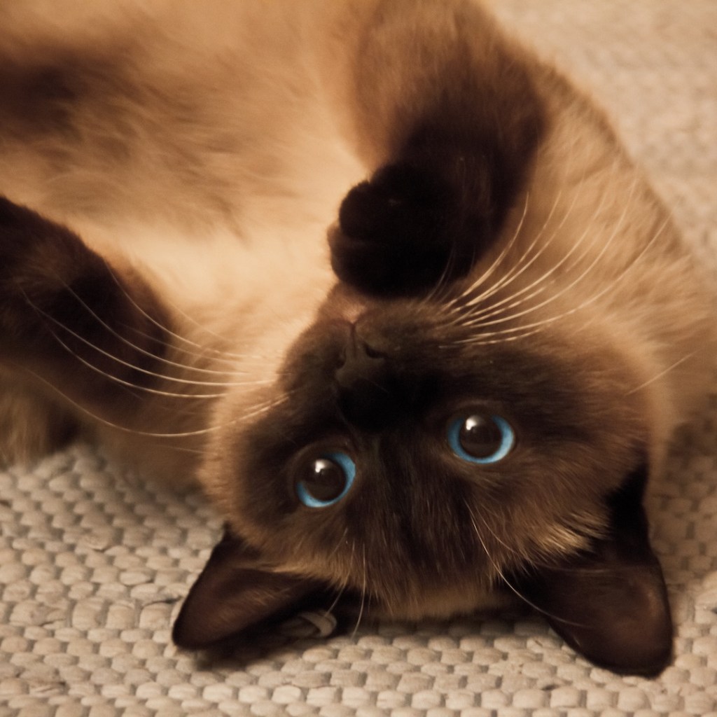 Nothing to Declare — 2 Days&nbsp;Left!